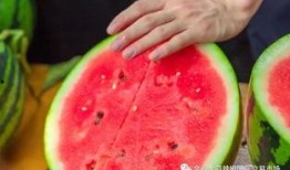 天津大学免费吃瓜,清凉一夏共享校园欢乐